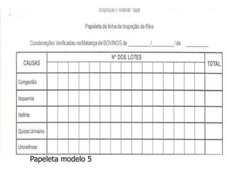 ;[
Papeleta modelo 5
 