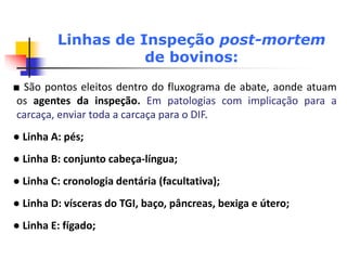 Linhas de Inspeção post-mortem
de bovinos:
■ São pontos eleitos dentro do fluxograma de abate, aonde atuam
os agentes da inspeção. Em patologias com implicação para a
carcaça, enviar toda a carcaça para o DIF.
● Linha A: pés;
● Linha B: conjunto cabeça-língua;
● Linha C: cronologia dentária (facultativa);
● Linha D: vísceras do TGI, baço, pâncreas, bexiga e útero;
● Linha E: fígado;
 