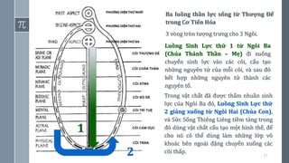 27
1
2
Ba luồng thần lực sống từ Thượng Đế
trong Cơ Tiến Hóa
3 vòng tròn tượng trưng cho 3 Ngôi.
Trong vật chất đã được thấm nhuần sinh
lực của Ngôi Ba đó, Luồng Sinh Lực thứ
2 giáng xuống từ Ngôi Hai (Chúa Con),
và Sức Sống Thiêng Liêng tiềm tàng trong
đó dùng vật chất cấu tạo một hình thể, để
cho nó có thể dùng làm những lớp vỏ
khoác bên ngoài đặng chuyển xuống các
cõi thấp.
Luồng Sinh Lực thứ 1 từ Ngôi Ba
(Chúa Thánh Thần – Mẹ) đi xuống
chuyển sinh lực vào các cõi, cấu tạo
những nguyên tử của mỗi cõi, và sau đó
kết hợp những nguyên tử thành các
nguyên tố.
 