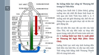 28
1
2
3
Ba luồng thần lực sống từ Thượng Đế
trong Cơ Tiến Hóa
Luồng Lưu Xuất thứ 2 (tâm thức), giáng
xuống vào vật chất đã được linh hoạt và
trải qua các Giới Tinh hoa chất 1, 2, 3
xuống mãi tới giới khoáng vật, thế rồi nó
thăng lên qua các giới thực vật và lên tới
giới động vật.
Khi nó tiến lên mực độ cao tột của loài
Cầm Thú, thì xảy đến một sự thay đổi
quan trọng, một yếu tố hoàn toàn mới mẻ,
đó là Luồng Sinh Lực thứ 3, xuất phát
từ Thượng Đế Ngôi Một (Đức Chúa
Cha).
Luồng Sinh Lực mới này ảnh hưởng đến
linh hồn của loài thú, và cấu tạo nên một
Thể riêng biệt bằng chất Thượng Thanh
Khí vô cùng tinh anh.
 