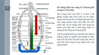 30
1
2
3
Ba luồng thần lực sống từ Thượng Đế
trong Cơ Tiến Hóa
Hai Luồng Sinh Lực thứ 1 và thứ 2 đã
giáng xuống một cách tuần tự và chậm
chạp xuyên qua tất cả những cảnh giới thu
hút xung quanh mình vật chất của mỗi
cảnh này và bị vướng mắc vào trong đó
hoàn toàn đến nỗi ta khó lòng nhận ra
chúng là Sự Sống của Thượng Đế.
Trái lại Luồng Sinh Lực thứ Ba trực tiếp đi
thẳng xuống từ nguồn mà không có hỗn
hợp với vật chất của mỗi cảnh giới. Nó là
một thứ ánh sáng trong trắng tinh anh
thuần khiết.
 