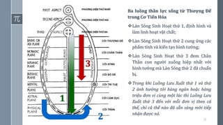 31
1
2
3
Ba luồng thần lực sống từ Thượng Đế
trong Cơ Tiến Hóa
❖Làn Sóng Sinh Hoạt thứ 1, định hình và
làm linh hoạt vật chất;
❖Làn Sóng Sinh Hoạt thứ 2 cung ứng các
phẩm tính và kiến tạo hình tướng;
❖Làn Sóng Sinh Hoạt thứ 3 đem Chân
Thần con người xuống hiệp nhất với
hình tướng mà Làn Sóng thứ 2 đã chuẩn
bị.
❖Trong khi Luồng Lưu Xuất thứ 1 và thứ
2 ảnh hưởng tới hàng ngàn hoặc hàng
triệu đơn vị cùng một lúc thì Luồng Lưu
Xuất thứ 3 đến với mỗi đơn vị theo cá
thể, chỉ cá thể nào đã sẵn sàng mới tiếp
nhận được nó.
 