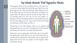 33
Sự hình thành Thể Nguyên Nhân
Thể nguyên nhân có lớp vỏ bằng chất trí, vốn được tạo
ra vào lúc thoát kiếp thú (biệt lập ngã tính). Hoa Sen
Chân Ngã là Lửa Thái dương được hình thành do Lửa
Tinh Thần tiếp xúc với lửa của Vật Chất. Cái khiến con
người khác với một con thú là Trí Tuệ và Ngã Thức, và
cái phương diện cao siêu của Trí tuệ con người– là
Thượng Trí hay Thể Nguyên Nhân– là một phần của bản
thể của một Đấng Cao Cả (hay toàn bộ bản thể trong
trường hợp vị Minh Quân, La Hán…).
Trong lớp vỏ của thể nguyên nhân có ba nguyên tử
thường tồn hạ trí, cảm dục và hồng trần, là nền tảng để
xây dựng nên 3 thể mới của kiếp sống tiếp theo.
Nhân loại của hai giống dân chính đầu tiên và nửa đầu
của giống dân chính thứ ba của cuộc tuần hoàn thứ tư
này vẫn còn là người thú, chưa thật sự là con người, dẫu
ngoại hình đã là một con người, do thể nguyên nhân
chưa được tạo lập.
 