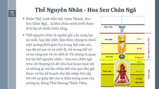 4
Thể Nguyên Nhân - Hoa Sen Chân Ngã
▪ Nhân Thể, Linh Hồn thể, Chén Thánh, Hoa
Sen Chân Ngã… là kho chứa minh triết được
tích lũy từ nhiều kiếp sống.
▪ Thể nguyên nhân là nguồn gốc của xung lực
tái sinh. Sau khi chết, tâm thức chúng ta dành
một quãng thời gian trụ trong thể cảm xúc,
sau đó nó tan rã và chết đi, rồi trong thể trí
và nó cũng tan rã và chết đi. Và chúng ta quay
trở lại thể nguyên nhân – hoa sen chân ngã
trên cõi thượng trí để tiêu hoá hoàn toàn tất
cả những gì mà lần nhập thế vừa qua thu gặt
được và lên kế hoạch cho lần nhập thế sắp
tới với sự giúp đỡ của vị thần trông nom của
chúng ta, Đấng Thái Dương Thiên Thần.
 