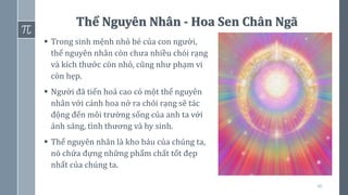 40
Thể Nguyên Nhân - Hoa Sen Chân Ngã
▪ Trong sinh mệnh nhỏ bé của con người,
thể nguyên nhân còn chưa nhiều chói rạng
và kích thước còn nhỏ, cũng như phạm vi
còn hẹp.
▪ Người đã tiến hoá cao có một thể nguyên
nhân với cánh hoa nở ra chói rạng sẽ tác
động đến môi trường sống của anh ta với
ánh sáng, tình thương và hy sinh.
▪ Thể nguyên nhân là kho báu của chúng ta,
nó chứa đựng những phẩm chất tốt đẹp
nhất của chúng ta.
 