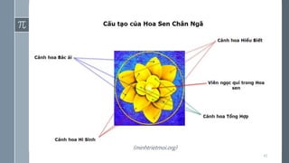 42
(minhtrietmoi.org)
 