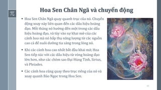 43
Hoa Sen Chân Ngã và chuyển động
▪ Hoa Sen Chân Ngã quay quanh trục của nó. Chuyển
động xoay này liên quan đến các dấu hiệu hoàng
đạo. Mỗi tháng nó hướng đến một trong các dấu
hiệu hoàng đạo, và tùy vào sự khai mở của các
cánh hoa mà nó hấp thụ năng lượng từ các nguồn
cao cả để nuôi dưỡng tia sáng trong lòng nó.
▪ Khi các cánh hoa cao nhất bắt đầu khai mở, Hoa
Sen tiếp xúc với các dấu hiệu từ vòng hoàng đạo
lớn hơn, như các chòm sao Đại Hùng Tinh, Sirius,
và Pleiades.
▪ Các cánh hoa cũng quay theo trục riêng của nó và
xoay quanh Bảo Ngọc trong Hoa Sen.
 