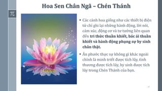 47
▪ Các cánh hoa giống như các thiết bị điện
tử chỉ ghi lại những hành động, lời nói,
cảm xúc, động cơ và tư tưởng liên quan
đến tri thức thuần khiết, bác ái thuần
khiết và hành động phụng sự hy sinh
chân thật.
▪ Ân phước thực sự không gì khác ngoài
chính là minh triết được tích lũy, tình
thương được tích lũy, hy sinh được tích
lũy trong Chén Thánh của bạn.
Hoa Sen Chân Ngã – Chén Thánh
 