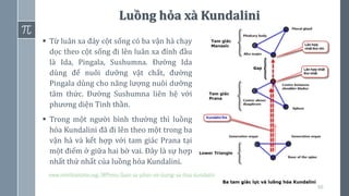 60
Luồng hỏa xà Kundalini
▪ Từ luân xa đáy cột sống có ba vận hà chạy
dọc theo cột sống đi lên luân xa đỉnh đầu
là Ida, Pingala, Sushumna. Đường Ida
dùng để nuôi dưỡng vật chất, đường
Pingala dùng cho năng lượng nuôi dưỡng
tâm thức. Đường Sushumna liên hệ với
phương diện Tinh thần.
▪ Trong một người bình thường thì luồng
hỏa Kundalini đã đi lên theo một trong ba
vận hà và kết hợp với tam giác Prana tại
một điểm ở giữa hai bờ vai. Đây là sự hợp
nhất thứ nhất của luồng hỏa Kundalini.
www.minhtrietmoi.org/WPress/luan-xa-phan-xiv-luong-xa-hoa-kundalini
 
