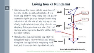 61
Luồng hỏa xà Kundalini
▪ Giữa luân xa Alta major và luân xa cổ họng có
một khe hở. Khi luồng hỏa Kundalini đi lên
muốn hợp nhất với năng lượng của Tam giác trí
tuệ thì con người phải tạo ra một cầu nối bằng
chất dĩ thái nối liền khe hở nầy. Việc tạo ra cầu
nối nầy là phản ảnh trên cõi hồng trần của việc
xây dựng đường Antahkarana trên cõi trí tuệ,
và được những người tư duy tiến bộ thực hiện
một cách vô thức.
▪ Khi luồng hỏa kundalini đi lên hợp nhất với
Tam giác trí tuệ ta có sự hợp nhất thứ nhì của
luồng hỏa, con người bước vào phòng Minh
Triết, trở thành một điểm đạo đồ chính thức.
www.minhtrietmoi.org/WPress/luan-xa-phan-xiv-luong-xa-hoa-kundalini
 