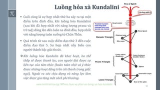 62
www.minhtrietmoi.org/WPress/luan-xa-phan-xiv-luong-xa-hoa-kundalini
▪ Cuối cùng là sự hợp nhất thứ ba xảy ra tại một
điểm trên đỉnh đầu, khi luồng hỏa Kundalini
(sau khi đã hợp nhất với năng lượng prana và
trí tuệ) dâng lên đến luân xa đỉnh đầu, hợp nhất
với năng lượng tuôn xuống từ Chân Thần.
▪ Quá trình từ sau cuộc điểm đạo thứ 3 đến cuộc
điểm đạo thứ 5. Sư hợp nhất nầy biến con
người thành bậc giải thoát.
❖Khi luồng hỏa Kundalin đã khơi hoạt, ba thể
thấp sẽ được thanh lọc, con người đạt được sự
liên tục của tâm thức (hoàn toàn nhớ và ý thức
được những hoạt động trên cõi thanh trong giấc
ngủ). Ngoài ra sức chịu đựng và năng lực làm
việc được gia tăng một cách phi thường.
Luồng hỏa xà Kundalini
 