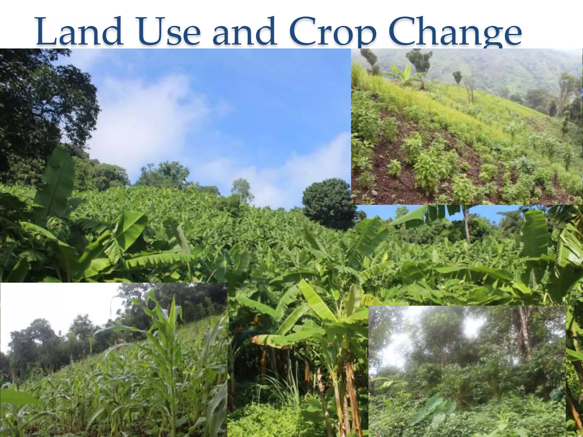 Land Use and Crop Change
 