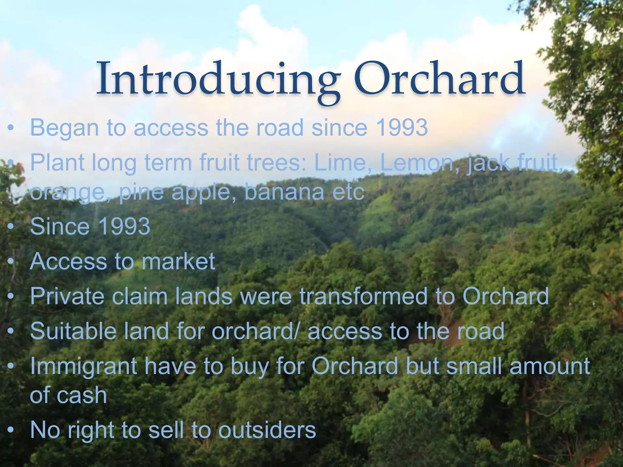 Introducing Orchard
• Began to access the road since 1993
• Plant long term fruit trees: Lime, Lemon, jack fruit,
orange, pine apple, banana etc
• Since 1993
• Access to market
• Private claim lands were transformed to Orchard
• Suitable land for orchard/ access to the road
• Immigrant have to buy for Orchard but small amount
of cash
• No right to sell to outsiders
 