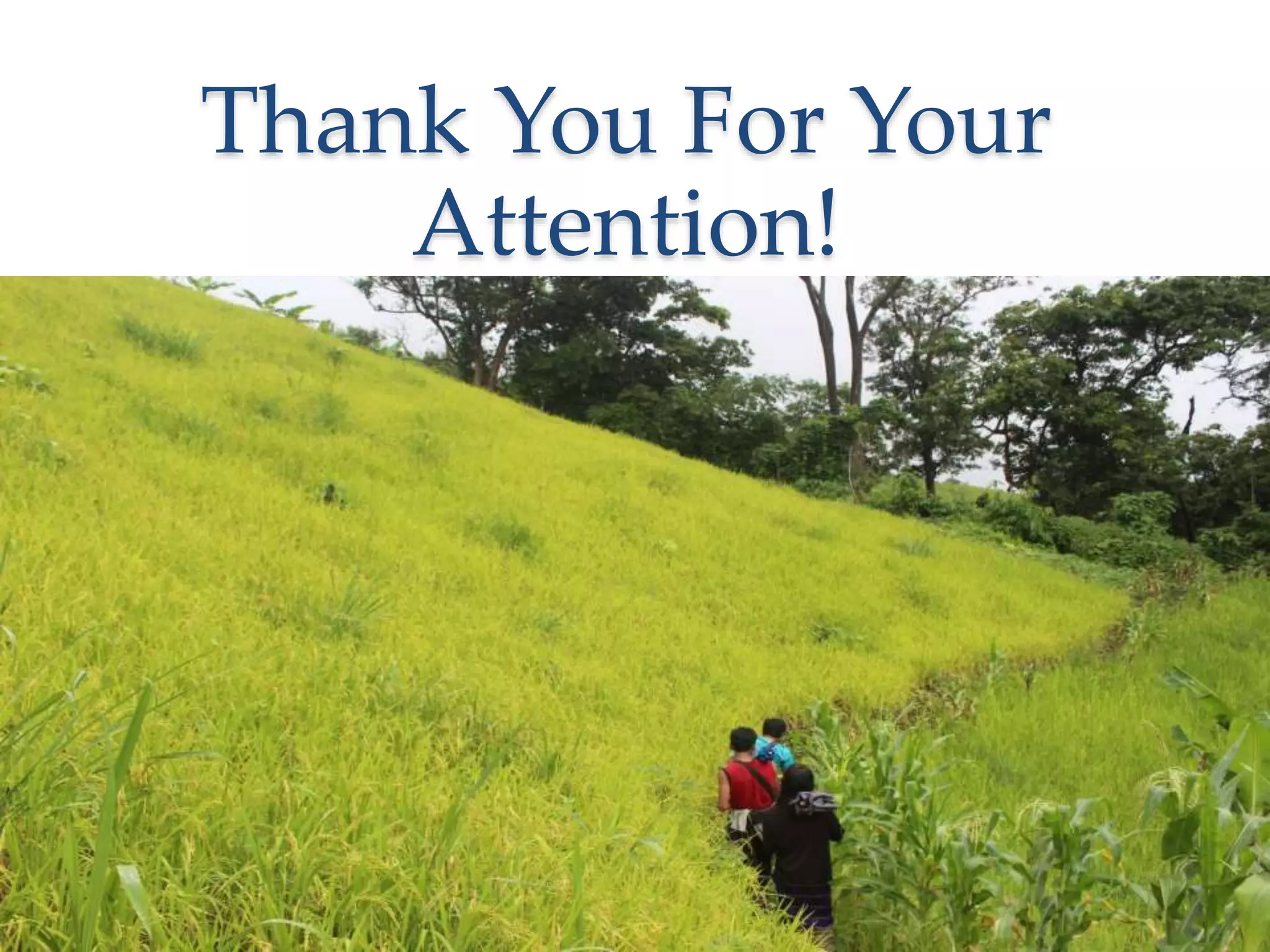 Thank You For Your
Attention!
 