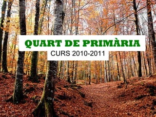 QUART DE PRIMÀRIA CURS 2010-2011 