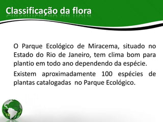 Classificação da flora


 O Parque Ecológico de Miracema, situado no
 Estado do Rio de Janeiro, tem clima bom para
 plantio em todo ano dependendo da espécie.
 Existem aproximadamente 100 espécies de
 plantas catalogadas no Parque Ecológico.
 