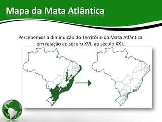 Mapa da Mata Atlântica

  Percebemos a diminuição do território da Mata Atlântica
         em relação ao século XVI, ao século XXI.
 