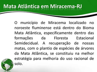 Mata Atlântica em Miracema-RJ

    O município de Miracema localizado no
    noroeste fluminense está dentro do Bioma
    Mata Atlântica, especificamente dentro das
    formações      da    Floresta     Estacional
    Semidecidual. A recuperação de nossas
    matas, com o plantio de espécies de árvores
    da Mata Atlântica, se constituiu na melhor
    estratégia para melhoria do uso racional de
    solo.
 