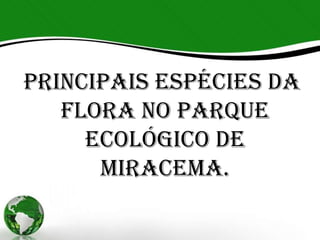 Principais espécies da
   flora no Parque
     Ecológico de
      Miracema.
 