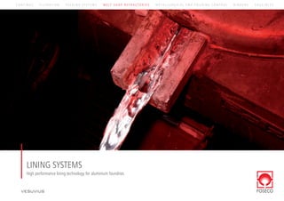 LINING SYSTEMS
High performance lining technology for aluminium foundries
C O A T I N G S F I LT R A T I O N F E E D I N G S Y S T E M S M E LT S H O P R E F R A C T O R I E S M E T A L L U R G I C A L A N D P O U R I N G C O N T R O L B I N D E R S C R U C I B L E S
 