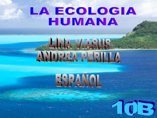 LA ECOLOGIA  HUMANA 10B LINA VIASUS ANDREA PERILLA ESPAÑOL 