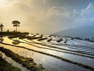 Getting your science into use: how to have impact