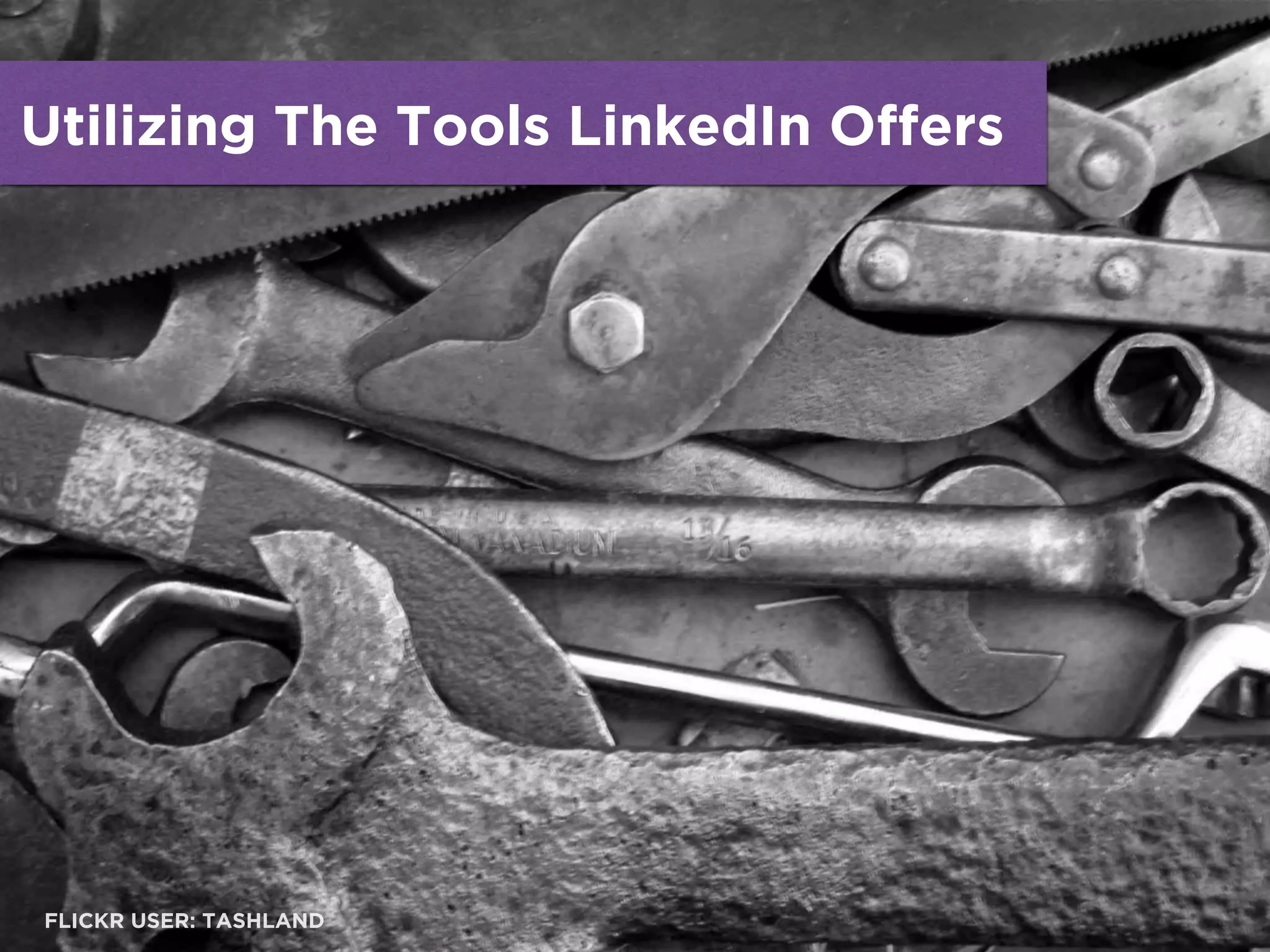 Utilizing The Tools LinkedIn Offers
FLICKR USER: TASHLAND
 