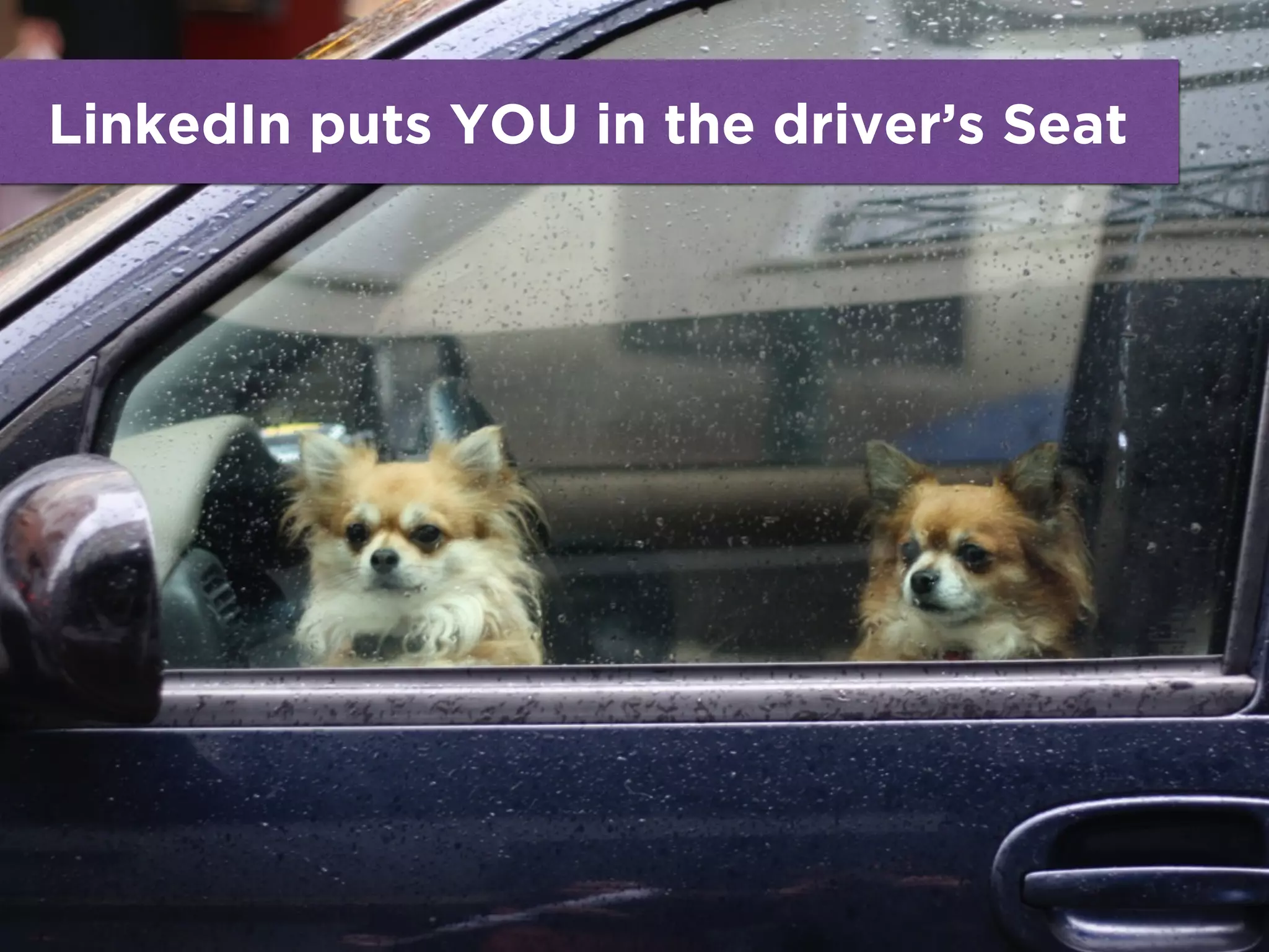 LinkedIn puts YOU in the driver’s Seat
 