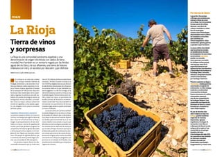 22 n link abertis n febrero 2014 febrero 2014 n link abertis n 23
viaje
A La Rioja no se viene sólo a beber
vino, aunque también. Además de
bodegas centenarias y de renombre mun-
dial que elaboran caldos exquisitos, el via-
je por tierras riojanas siguiendo el trazado
de la autopista AP-68 permite descubrir
hermosas villas medievales; cerros, pasti-
zales y lagunas; la auténtica cuna del cas-
tellano; las pisadas de antiguos saurios ya
extinguidos; termas naturales; curiosida-
des como la mayor colonia urbana del
mundo de cigüeñas; y una capital, Logro-
ño, de obligada visita para los amantes
del buen yantar.
Cigüeñas,dinosauriosypastores
La primera parada es Alfaro, la Gracurris
romana,una atalaya que vigila la ribera del
Ebro cerca de la frontera entre La Rioja y
Aragón. El principal atractivo de esta loca-
lidad es la mayor colonia de cigüeñas del
mundo,que ocupa,de febrero a agosto,los
campanariosdetodaslasiglesiasdelpueblo
y de buena parte de sus tejados.En la Cole-
giata de San Miguel, por ejemplo, anidan
unas 120 parejas de cigüeñas blancas que,
a comienzos de verano,pueden llegar a for-
mar una comunidad de 500 ejemplares.
Los primeros riojanos fueron los des-
comunales dinosaurios que ya vivían hace
Tierra de vinos
y sorpresas
La Rioja
La Rioja es una comunidad autónoma española y una
denominación de origen vitivinícola con caldos de fama
mundial. Pero también es un territorio regado por las fértiles
aguas del río Ebro y de sus afluentes, una tierra de historia
milenaria con mil y un secretos por descubrir y por disfrutar
Texto AntoniCapilla|fotos Agencias
másde120millonesdeañosenestastierras
sinuosas y fértiles. Durante el Jurásico, el
mar deTethys llegaba hasta lo que ahora es
el valle del Ebro.Buena parte de La Rioja era
una extenso delta en la que habitaban los
saurios gigantes. La villa de Cornago, en la
sierra deAlcarama, tocando a Soria, es una
localidad singular.Tiene encanto,tiene cas-
tillo y tiene Los Cayos, un yacimiento de
huellas (icnitas) de dinosaurio excelente-
mente conservado. Muy cerca también se
encuentran los yacimientos de Enciso,
GrávaloseIgea,dondesupuedecontemplar
un tronco fosilizado.
La cercana Sierra de Cameros también
es parada obligatoria en la visita a La Rioja.
EnelpueblodeCabezón,queundíajurásico
tuvo playa,los dinosaurios también dejaron
sus huellas para la eternidad.Ya no se ven
tantos rebaños como antaño.Lo que sí que
abundan por estos antiguos pastizales son
los amantes de los deportes de aventura
que acuden al ParqueAventura que hay en
el blasonado pueblo de Lumbreras;los avie-
sosturistasqueconocenlascuevasdeesta-
lactitas de Ortigosa,para muchos el pueblo
más bonito de La Rioja; los piragüistas que
practican en el embalse de El Rasillo o los
amantes de los embutidos que compran en
Laguna de Cameros.
Laguardia, Samaniego
o Elciego son nombres que
suenan a Rioja sin estar
en La Rioja. Los tres pueblos
forman parte de la Rioja
Alavesa, una tierra de
colinas, meandros y viñas.
Sus 15 municipios
censan unas 300 bodegas
diseminadas entre la Sierra
de Cantabria y el río Ebro
que conviven con
restos megalíticos, villas
medievales, iglesias góticas
y paisajes espectaculares.
La zona cultiva vino desde
que los primeros monjes
se establecieron durante
la reconquista. En una colina
se encuentra Laguardia,
pueblo con muralla,
cinco puertas y un sinfín
de bodegas subterráneas,
casi una por casa. En la
superficie destacan las
iglesias de San Juan Bautista
y Santa María de los Reyes y
la bodega Ysios, futurista,
sinuosa y desproporcionada
construcción firmada
por Santiago Calatrava.
Páramo a páramo se llega a
Samaniego, ciudad guerrera
arracimada a la iglesia de
la Asunción. La villa conjuga
tradición y modernidad.
Las pequeñas bodegas
Sasazu presumen de caldos
artesanales mientras
uno de sus competidores,
las bodegas Baigorri, han
construido una especie de
Partenón de hierro y cristal
firmada por el arquitecto
vasco Iñaki Azpiazu.
Un par de desvíos más
allá el viajero se topa con
Elciego, pueblo medieval
salpicado de casonas
blasonadas, iglesias
orgullosas y bodegas de
excepción como Murua
o Marqués de Riscal, la más
antigua de la región y hoy
convertida en un parque
temático del vino.
A las bodegas del siglo XIX,
los cosecheros han añadido
un fastuoso complejo
hotelero firmado por
Frank Gehry que huele a
Guggenheiem y a buen vino.
Por tierras de Álava
 