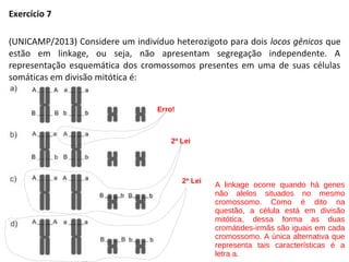 Exercício 7
(UNICAMP/2013) Considere um indivíduo heterozigoto para dois locos gênicos que
estão em linkage, ou seja, não apresentam segregação independente. A
representação esquemática dos cromossomos presentes em uma de suas células
somáticas em divisão mitótica é:
A linkage ocorre quando há genes
não alelos situados no mesmo
cromossomo. Como é dito na
questão, a célula está em divisão
mitótica, dessa forma as duas
cromátides-irmãs são iguais em cada
cromossomo. A única alternativa que
representa tais características é a
letra a.
2ª Lei
2ª Lei
Erro!
 