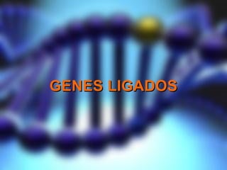 GENES LIGADOSGENES LIGADOS
 