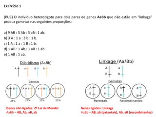 Exercício 1
(PUC) O indivíduo heterozigoto para dois pares de genes AaBb que não estão em “linkage”
produz gametas nas seguintes proporções:
a) 9 AB : 3 Ab : 3 aB : 1 ab.
b) 3 A : 1 a : 3 b : 1 b.
c) 1 A : 1 a : 1 B : 1 b.
d) 1 AB : 1 Ab : 1 aB : 1 ab.
e) 1 AB : 1 ab.
Genes não ligados: 2º Lei de Mendel
AaBb = AB, Ab, aB, ab
Genes ligados: Linkage
AaBb = AB, ab (patentais), Ab, aB (recombinantes)
 