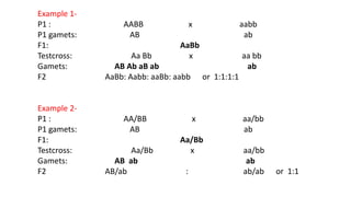 Example 1-
P1 : AABB x aabb
P1 gamets: AB ab
F1: AaBb
Testcross: Aa Bb x aa bb
Gamets: AB Ab aB ab ab
F2 AaBb: Aabb: aaBb: aabb or 1:1:1:1
Example 2-
P1 : AA/BB x aa/bb
P1 gamets: AB ab
F1: Aa/Bb
Testcross: Aa/Bb x aa/bb
Gamets: AB ab ab
F2 AB/ab : ab/ab or 1:1
 