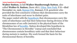 Sutton hypothesis of linkage(1903)
Walter Sutton, in full Walter Stanborough Sutton, also
called Walter S. Sutton, (born 1877, Utica, New York, U.S.—died
November 10, 1916, Kansas City, Kansas), U.S. geneticist who
provided the first conclusive evidence that chromosomes carry the
units of inheritance and occur in distinct pairs.
The paper ended with the hypothesis that chromosomes carry the
units of inheritance and that their behaviour during division of the
chromosomes of sex cells (meiosis) is the physical basis of the
Mendelian law of heredity. Sutton developed this hypothesis in
“The Chromosomes in Heredity” (1903) and concluded that
chromosomes contain hereditary units and that their behaviour
during meiosis is random. His work formed the basis for the
chromosomal theory of heredity.
 