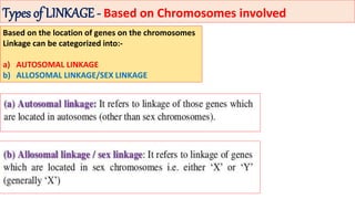 Types of LINKAGE - Based on Chromosomes involved
Based on the location of genes on the chromosomes
Linkage can be categorized into:-
a) AUTOSOMAL LINKAGE
b) ALLOSOMAL LINKAGE/SEX LINKAGE
 