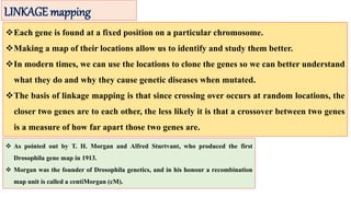 LINKAGE mapping
Each gene is found at a fixed position on a particular chromosome.
Making a map of their locations allow us to identify and study them better.
In modern times, we can use the locations to clone the genes so we can better understand
what they do and why they cause genetic diseases when mutated.
The basis of linkage mapping is that since crossing over occurs at random locations, the
closer two genes are to each other, the less likely it is that a crossover between two genes
is a measure of how far apart those two genes are.
 As pointed out by T. H. Morgan and Alfred Sturtvant, who produced the first
Drosophila gene map in 1913.
 Morgan was the founder of Drosophila genetics, and in his honour a recombination
map unit is called a centiMorgan (cM).
 