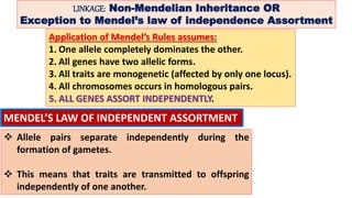 LINKAGE: Non-Mendelian Inheritance OR
Exception to Mendel’s law of independence Assortment
Application of Mendel’s Rules assumes:
1. One allele completely dominates the other.
2. All genes have two allelic forms.
3. All traits are monogenetic (affected by only one locus).
4. All chromosomes occurs in homologous pairs.
5. ALL GENES ASSORT INDEPENDENTLY.
 Allele pairs separate independently during the
formation of gametes.
 This means that traits are transmitted to offspring
independently of one another.
MENDEL’S LAW OF INDEPENDENT ASSORTMENT
 