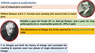 LINKAGE: exceptionto mendel’s thirdlaw
Law of independent assortment
William Bateson and R. C. Punnett were working with several traits in sweet
peas.
Notably a gene for Purple (P) vs. Red (p) flowers, and a gene for long
pollen grains (L) vs. round pollen grains (l). (PPLL X ppll).
The phenomenon of linkage was firstly reported by Bateson and Punnet in
1906.
T. H. Morgan put forth the theory of linkage and concluded the
coupling & repulsion were two phases of single phenomenon of
linkage.
 