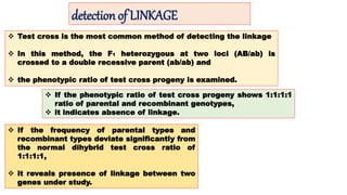 detection of LINKAGE
 Test cross is the most common method of detecting the linkage
 In this method, the F1 heterozygous at two loci (AB/ab) is
crossed to a double recessive parent (ab/ab) and
 the phenotypic ratio of test cross progeny is examined.
 If the phenotypic ratio of test cross progeny shows 1:1:1:1
ratio of parental and recombinant genotypes,
 it indicates absence of linkage.
 If the frequency of parental types and
recombinant types deviate significantly from
the normal dihybrid test cross ratio of
1:1:1:1,
 it reveals presence of linkage between two
genes under study.
 
