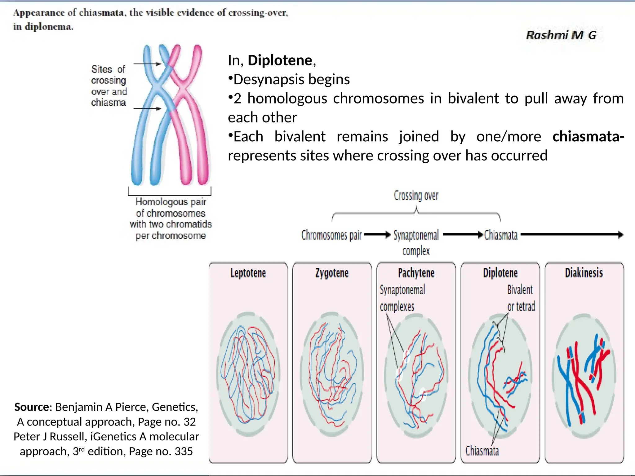 Source: Benjamin A Pierce, Genetics,
A conceptual approach, Page no. 32
Peter J Russell, iGenetics A molecular
approach, 3rd
edition, Page no. 335
In, Diplotene,
•Desynapsis begins
•2 homologous chromosomes in bivalent to pull away from
each other
•Each bivalent remains joined by one/more chiasmata-
represents sites where crossing over has occurred
 