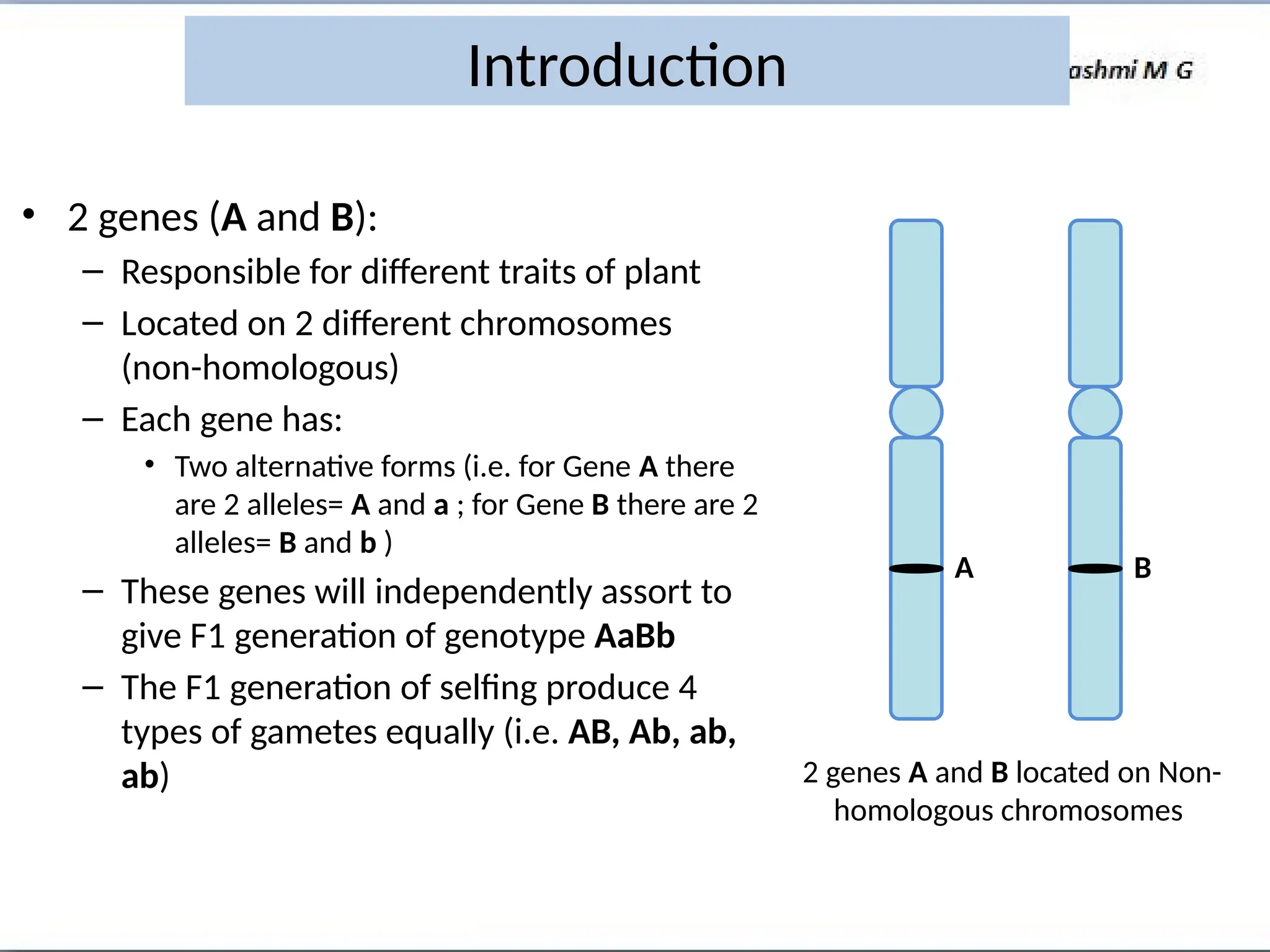 Introduction
• 2 genes (A and B):
– Responsible for different traits of plant
– Located on 2 different chromosomes
(non-homologous)
– Each gene has:
• Two alternative forms (i.e. for Gene A there
are 2 alleles= A and a ; for Gene B there are 2
alleles= B and b )
– These genes will independently assort to
give F1 generation of genotype AaBb
– The F1 generation of selfing produce 4
types of gametes equally (i.e. AB, Ab, ab,
ab) 2 genes A and B located on Non-
homologous chromosomes
A B
 