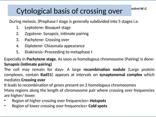 Cytological basis of crossing over
During meiosis, (Prophase I stage is generally subdivided into 5 stages i.e.
1. Leptotene- Bouquet stage
2. Zygotene- Synapsis, intimate pairing
3. Pachytene- Crossing over
4. Diplotene- Chiasmata appearance
5. Diakinesis- Proceeding to metaphase I
Especially in Pachytene stage, As soon as homologous chromosome (Pairing) is done-
Synapsis (intimate pairing)
The cell may remain for days- A large recombination nodule (Large protein
complexes, contain Rad51) appears at intervals on synaptonemal complex which
mediates Crossing over
It leads to recombination of genes present on 2 homologous chromosomes
Many regions along the length of chromosome pair where crossing over frequencies
are higher/ lower.
• Region of higher crossing over frequencies= Hotspots
• Region of lower crossing over frequencies= Cold spots
 