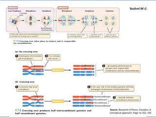 Source: Benjamin A Pierce, Genetics, A
conceptual approach, Page no.162, 165
 