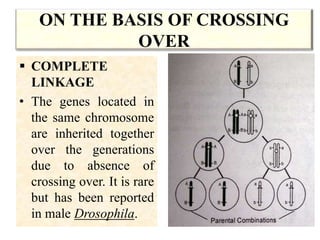 linkage-and-crossing-over.pdf