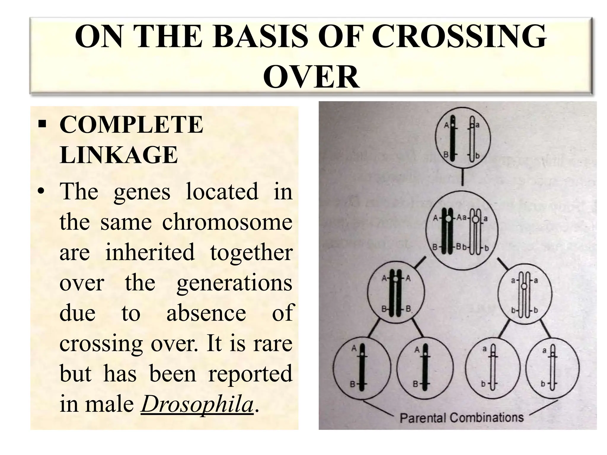 ON THE BASIS OF CROSSING
OVER
 COMPLETE
LINKAGE
• The genes located in
the same chromosome
are inherited together
over the generations
due to absence of
crossing over. It is rare
but has been reported
in male Drosophila.
 