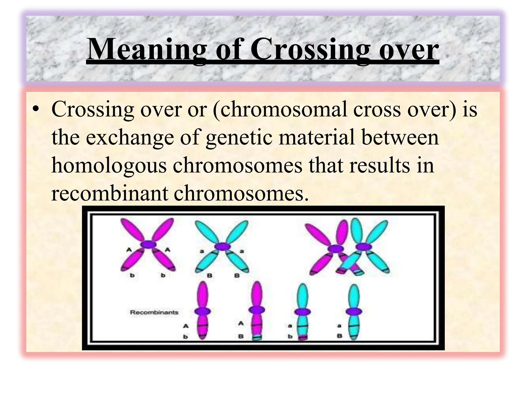 Meaning of Crossing over
• Crossing over or (chromosomal cross over) is
the exchange of genetic material between
homologous chromosomes that results in
recombinant chromosomes.
 