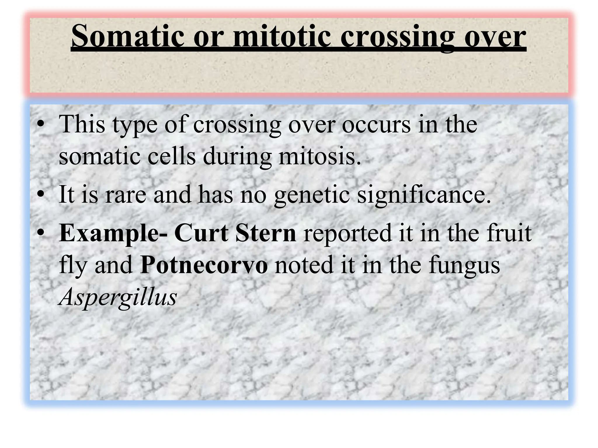 Somatic or mitotic crossing over
• This type of crossing over occurs in the
somatic cells during mitosis.
• It is rare and has no genetic significance.
• Example- Curt Stern reported it in the fruit
fly and Potnecorvo noted it in the fungus
Aspergillus
 