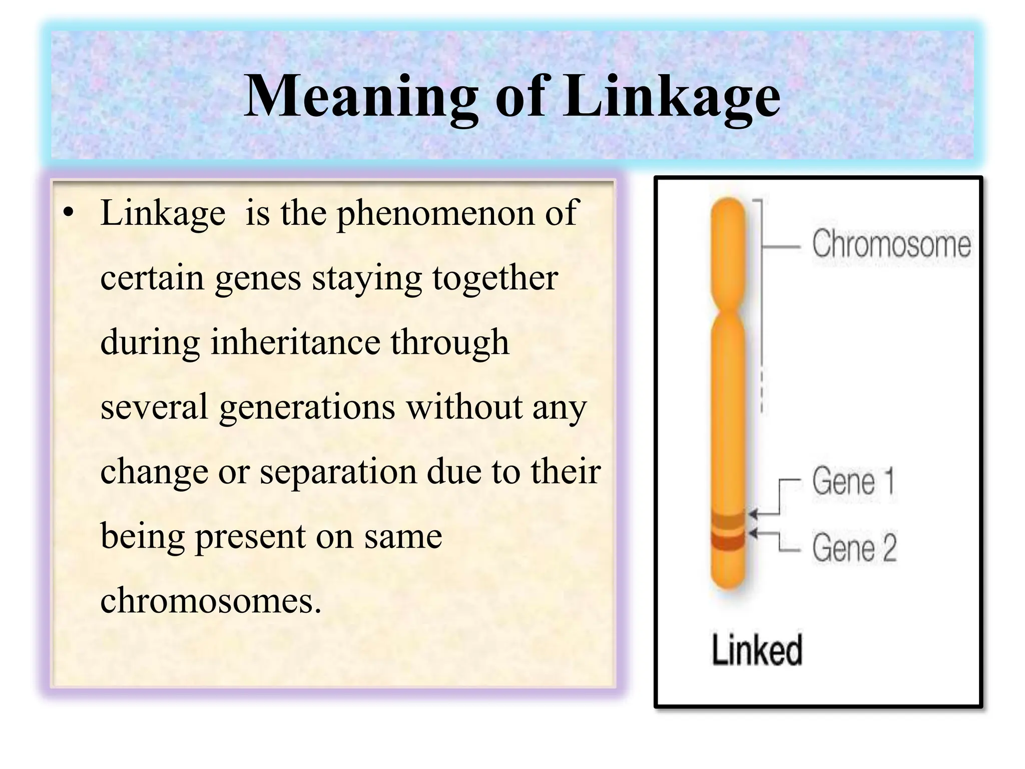Meaning of Linkage
• Linkage is the phenomenon of
certain genes staying together
during inheritance through
several generations without any
change or separation due to their
being present on same
chromosomes.
AB
AB
 