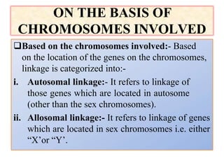 ON THE BASIS OF
CHROMOSOMES INVOLVED
Based on the chromosomes involved:- Based
on the location of the genes on the chromosomes,
linkage is categorized into:-
i. Autosomal linkage:- It refers to linkage of
those genes which are located in autosome
(other than the sex chromosomes).
ii. Allosomal linkage:- It refers to linkage of genes
which are located in sex chromosomes i.e. either
“X’or “Y’.
 