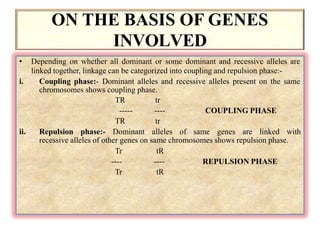 ON THE BASIS OF GENES
INVOLVED
• Depending on whether all dominant or some dominant and recessive alleles are
linked together, linkage can be categorized into coupling and repulsion phase:-
i. Coupling phase:- Dominant alleles and recessive alleles present on the same
chromosomes shows coupling phase.
COUPLING PHASE
TR
-----
TR
tr
----
tr
ii. Repulsion phase:- Dominant alleles of same genes are linked with
recessive alleles of other genes on same chromosomes shows repulsion phase.
REPULSION PHASE
Tr
----
Tr
tR
----
tR
 